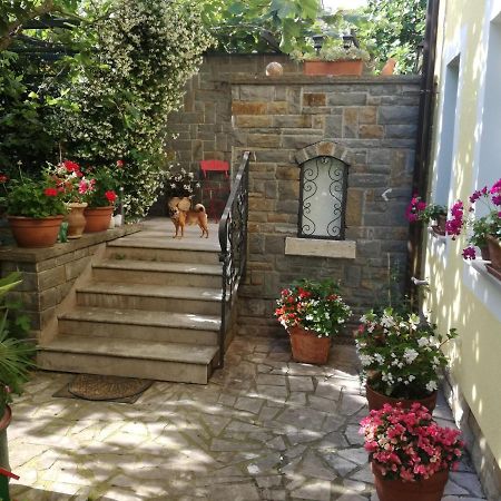 Guesthouse Leasol Lucija Exterior foto